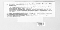 Terriera cladophila image